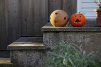 halloween dekoráció